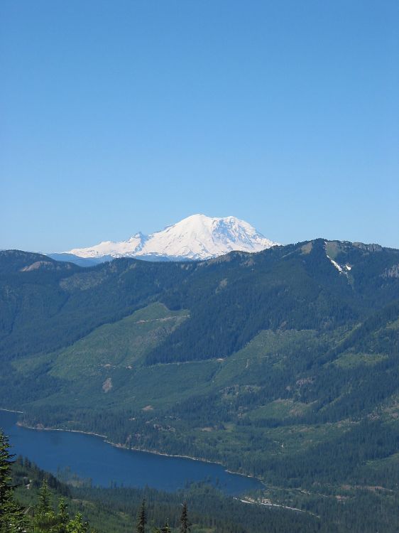 This image has been resized